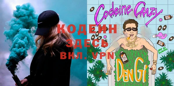 шишки Бежецк