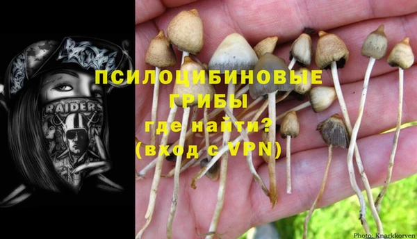 молекула духа Вязьма
